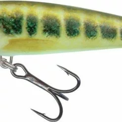 Salmo Minnow Crankbaits -Rods Sales Shop 02bbyemx636150560990088535