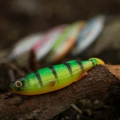 Savage Craft Shad Mix Pack -Rods Sales Shop 03vv04gp637927817223915822