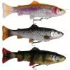 Savage 4D Line Thru Pulse Tail Trout 16cm 1 Savage 4D Line Thru Pulse Tail Trout 16cm -Rods Sales Shop 0tcxdh3s636955095983628519