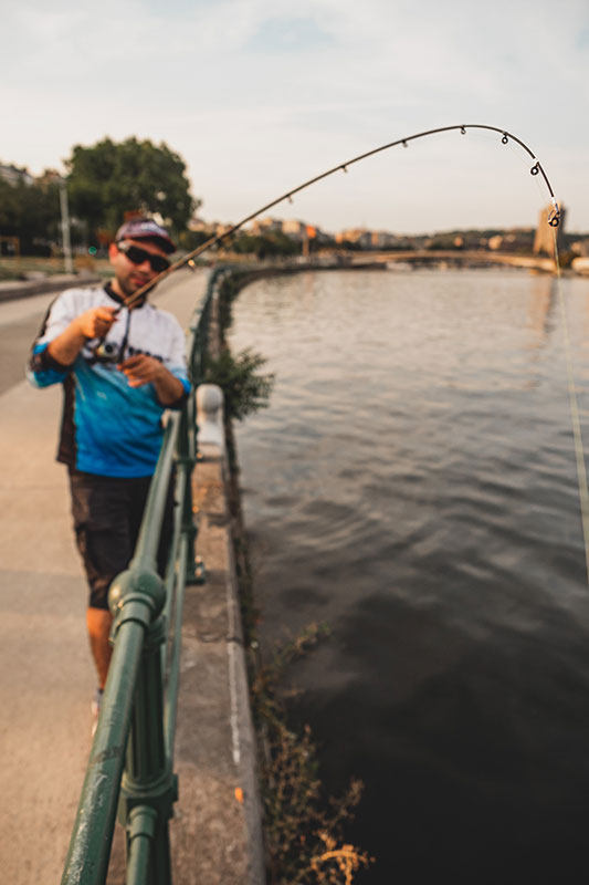 Fox Rage Street Fighter Drop N Jig Rod 6 Fox Rage Street Fighter Drop N Jig Rod - Image 4