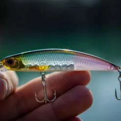 Berkley DEX Bullet Jerk Lures 8cm -Rods Sales Shop 1rhqtnhv638003954138651663