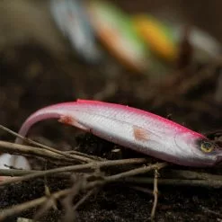 Savage Craft Shad Mix Pack -Rods Sales Shop 30ovtgko637927817223915822