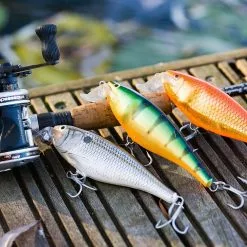 Rapala Super Shad Rap Lure 14cm -Rods Sales Shop 3ovzvl1o635640088491339094