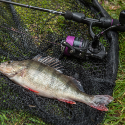 Wychwood Agitator Series 1 Reels 9 Wychwood Agitator Series 1 Reels -Rods Sales Shop 4lngybzl637133839365795095