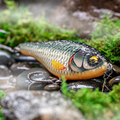 Rapala Twitchin Rap Lures 12cm -Rods Sales Shop 4urkekqt637441565593476049