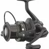 Daiwa Black Widow Big Pits -Rods Sales Shop 4vgiypbu635842305155493657