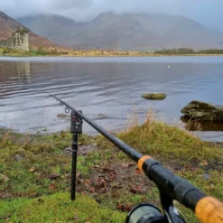 Daiwa Black Widow Deadbait Rods -Rods Sales Shop 5ulcahz1638037749376916553