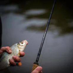 Guru Aventus Steve Ringer Light Feeder Rods -Rods Sales Shop 5ygm33sp638106771681742688