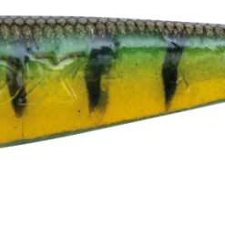 Fox Rage Zander Pro Ultra UV Shad Packs -Rods Sales Shop a1wpc3fs637036316005427283