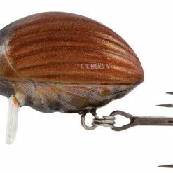 Salmo Lil' Bugs 3cm 8 Salmo Lil' Bugs 3cm -Rods Sales Shop a2koti24636150602311786947