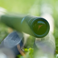 Daiwa Tournament-S Feeder Rods -Rods Sales Shop biwkfgty638114682942065865