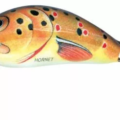 Salmo Hornet Crankbaits -Rods Sales Shop bwgpvsau636149966061652415