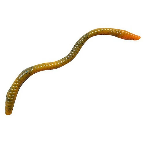 Drennan E-SOX Dropshot Lobworms 5 Drennan E-SOX Dropshot Lobworms - Image 3