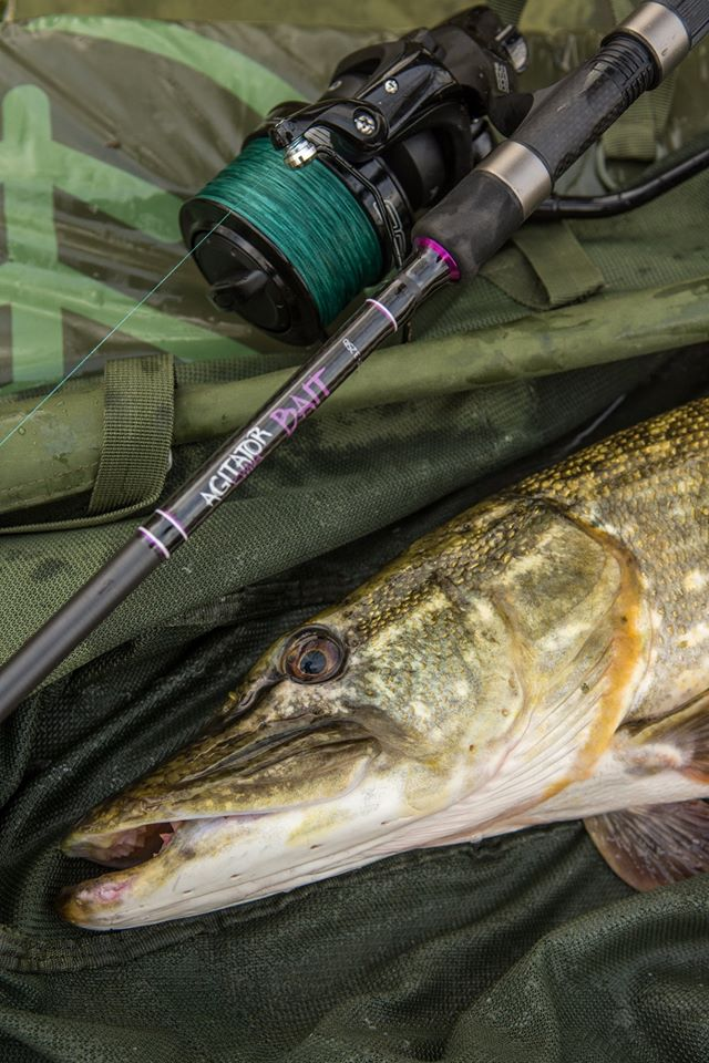 Wychwood Agitator Bait Rod 12ft 3.25lb 5 Wychwood Agitator Bait Rod 12ft 3.25lb - Image 3