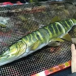 Savage 4D Line Thru Pike -Rods Sales Shop detbgsil636796197163951283