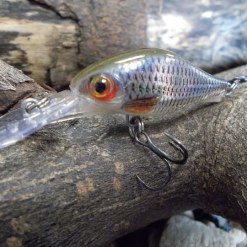 Rapala Shadow Rap Fat Jack 4cm -Rods Sales Shop dovhj1je637432999349349071