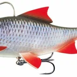 Fox Rage Realistic Replicant Roach -Rods Sales Shop dpyx0f1i636343379084871432