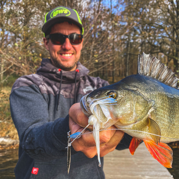 Strike King KVD Spinnerbaits 4 Strike King KVD Spinnerbaits - Image 2