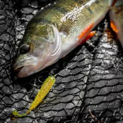 Fox Rage Floating Creature Ultra UV Swing Ball -Rods Sales Shop hl2jr4gq637843293716098481