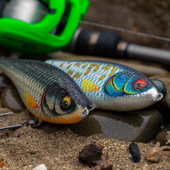 Rapala Twitchin Rap Lures 12cm -Rods Sales Shop hw3gspvv637441600291275842