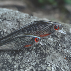 Rapala Super Shadow Rap 11cm 10 Rapala Super Shadow Rap 11cm -Rods Sales Shop jfrlsoyv637441597412091283