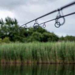 Daiwa Vertice Carp Rods -Rods Sales Shop jtdburfa637835455207995648