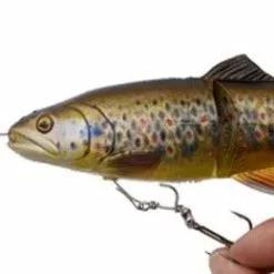 Savage 4D Line Thru Trout -Rods Sales Shop k3m2odm1636352789901258575