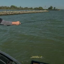 Fox Rage Terminator Versatile Casting Rods 12 Fox Rage Terminator Versatile Casting Rods -Rods Sales Shop kbfl2b5u637431042259289021