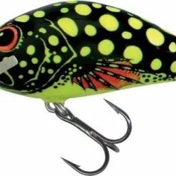 Salmo Hornet Crankbaits -Rods Sales Shop ksct43ko636149966061808659