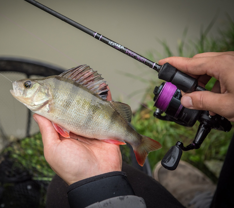 Wychwood Agitator Series 1 Reels 5 Wychwood Agitator Series 1 Reels - Image 3