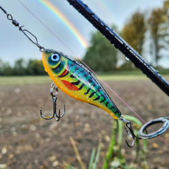 Rapala Twitchin Rap Lures 12cm -Rods Sales Shop lkrp4coy637441565593632301