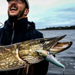 Savage Freestyler V2 Lures 11cm -Rods Sales Shop nu5vn2et638125021635067911