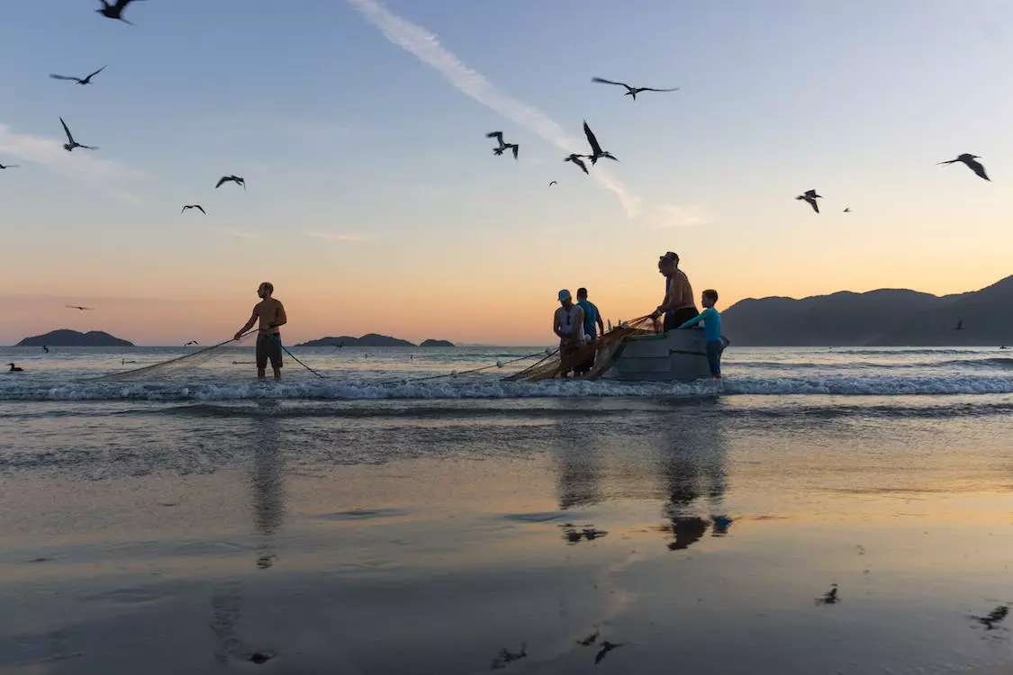 Rods Sales Shop -Rods Sales Shop pexels photo 4179090