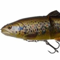 Savage 4D Line Thru Trout -Rods Sales Shop pncpxxob636352789901258575