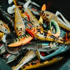 Rapala X-Rap Peto 14cm -Rods Sales Shop qe2eggk5637165108992323835