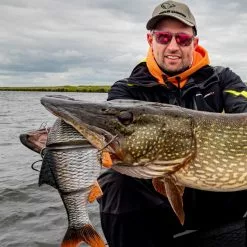 Savage 4D Line Thru Roach -Rods Sales Shop qnbzpfjw638114551829676980