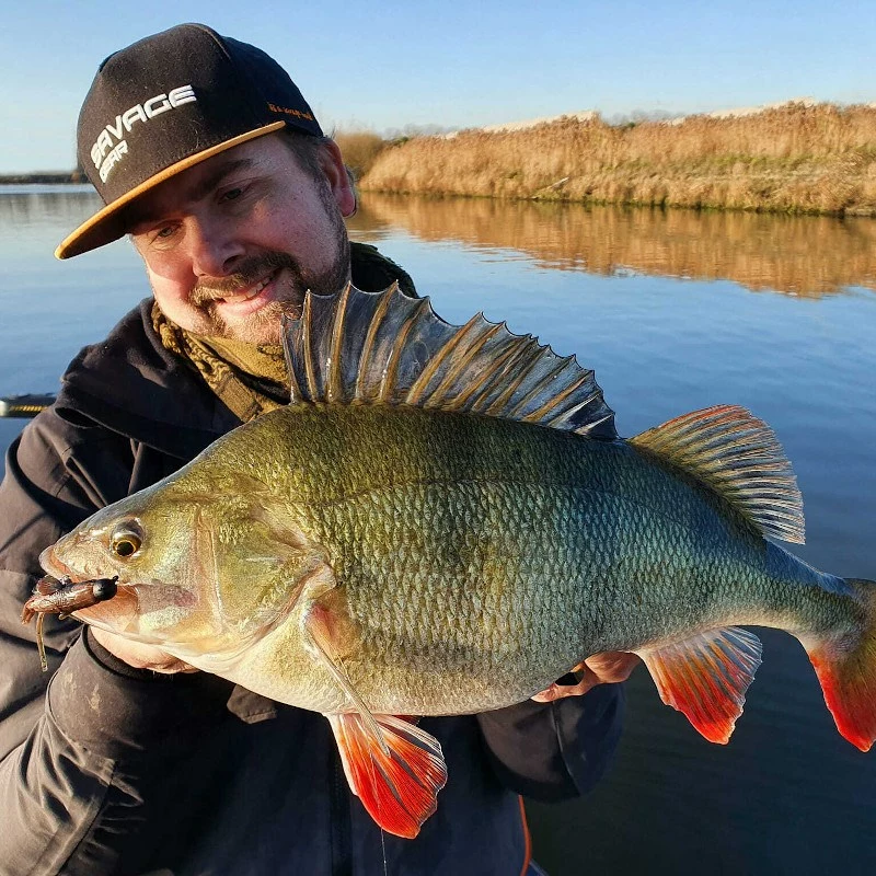 Savage Ned Goby Lures 3 Savage Ned Goby Lures