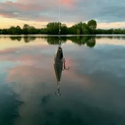 Rapala Shadow Rap Shads 9cm -Rods Sales Shop s4if2mqn638118938484478179