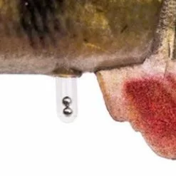 Savage 4D Line Thru Perch -Rods Sales Shop sbidfu1h636353612522841337