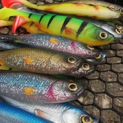 Savage Craft Shads -Rods Sales Shop se0x4lqc637989160228693576