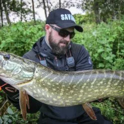 Savage 4D Line Thru Pulse Tail Trout 16cm -Rods Sales Shop soxqzz2d636954262016738198