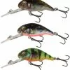 Savage 3D Floating Goby Cranks -Rods Sales Shop st4podsf636656060775174725
