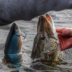 Savage 4D Line Thru Roach -Rods Sales Shop sxi1xawk638114551829676980