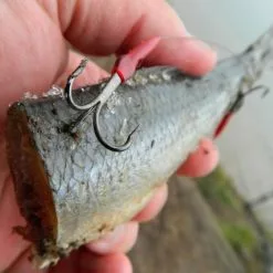 Drennan E-SOX Bait Trace 8 Drennan E-SOX Bait Trace -Rods Sales Shop t0xot5zx635596796956397875