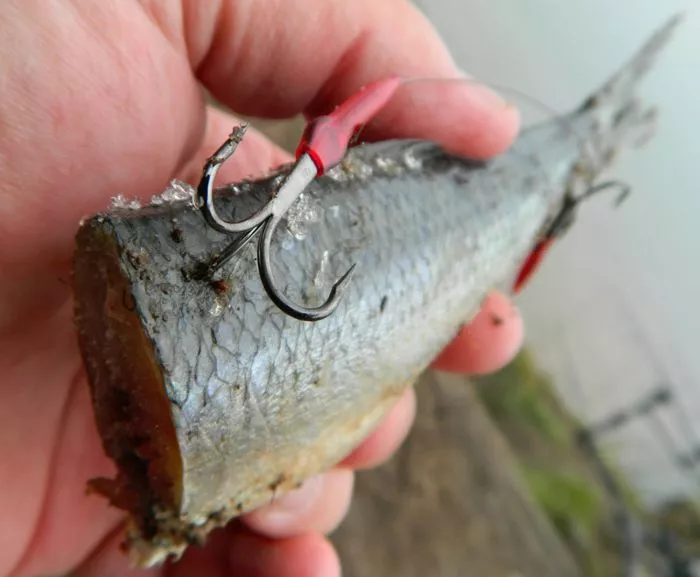 Drennan E-SOX Bait Trace 5 Drennan E-SOX Bait Trace - Image 3