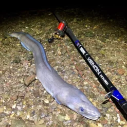 TronixPro Xenon Power Rod 13ft 8in -Rods Sales Shop u32b5cyu636846343755425733