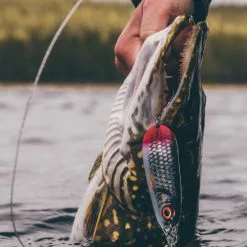 Rapala Nauvo Lures 15 Rapala Nauvo Lures -Rods Sales Shop ulmzwc0u638125876015611807