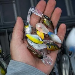 Berkley DEX Trencher Lures 5.5cm -Rods Sales Shop uxggdoag638003860603990196