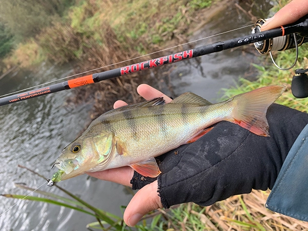 HTO Rockfish Rods 8 HTO Rockfish Rods - Image 6