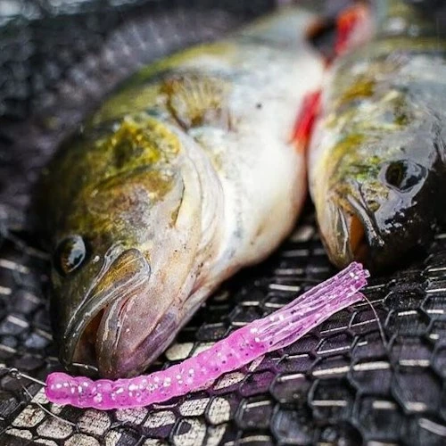 Fox Rage Floating Creature Funky Worm UV 3 Fox Rage Floating Creature Funky Worm UV